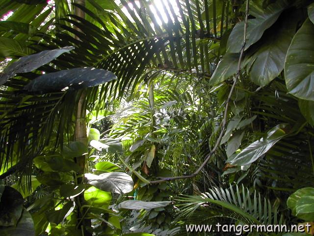 Parrot Jungle, Miami - aber ohne Papageien