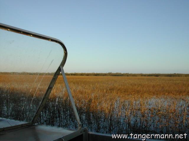 Airboat Ride