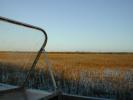 Airboat Ride