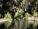 Juniper Springs