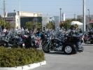 Daytona Bikeweek